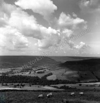 Farndale